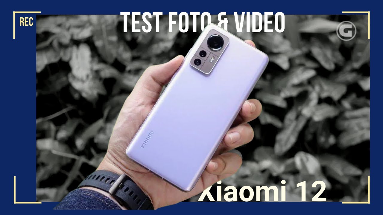 TEST KAMERA XIAOMI 12