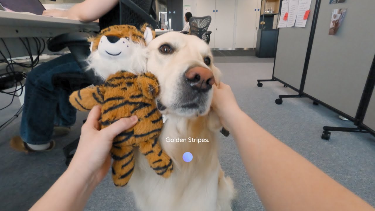 YouTube video player