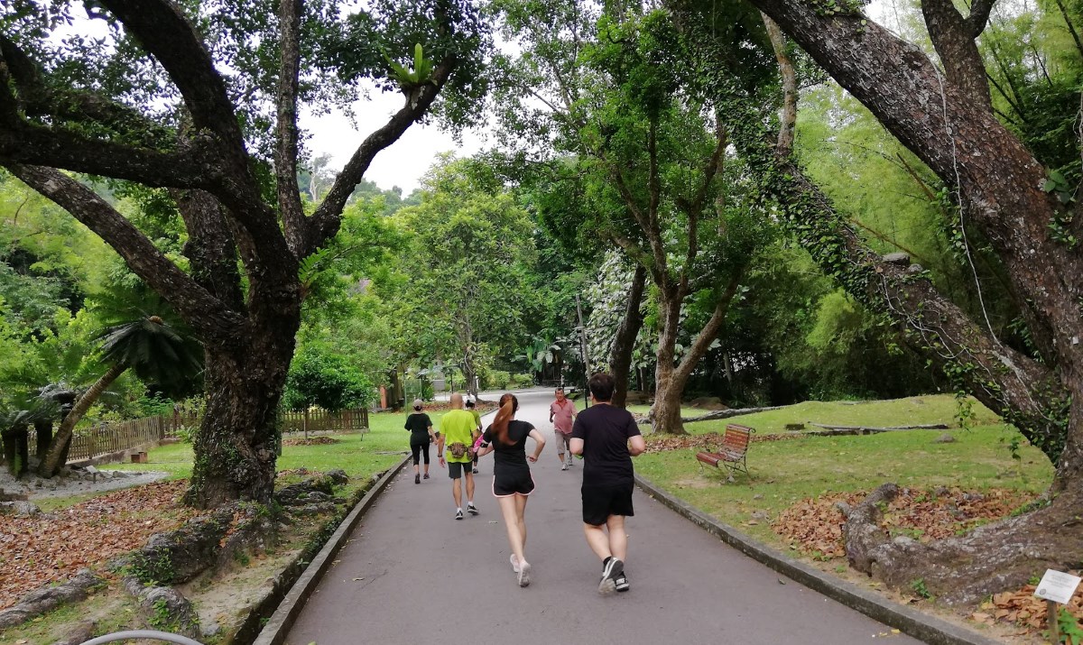 Joging Bukit Penang