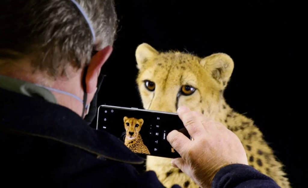 OPPO Find X3 Joel Sartore Endangered Colour