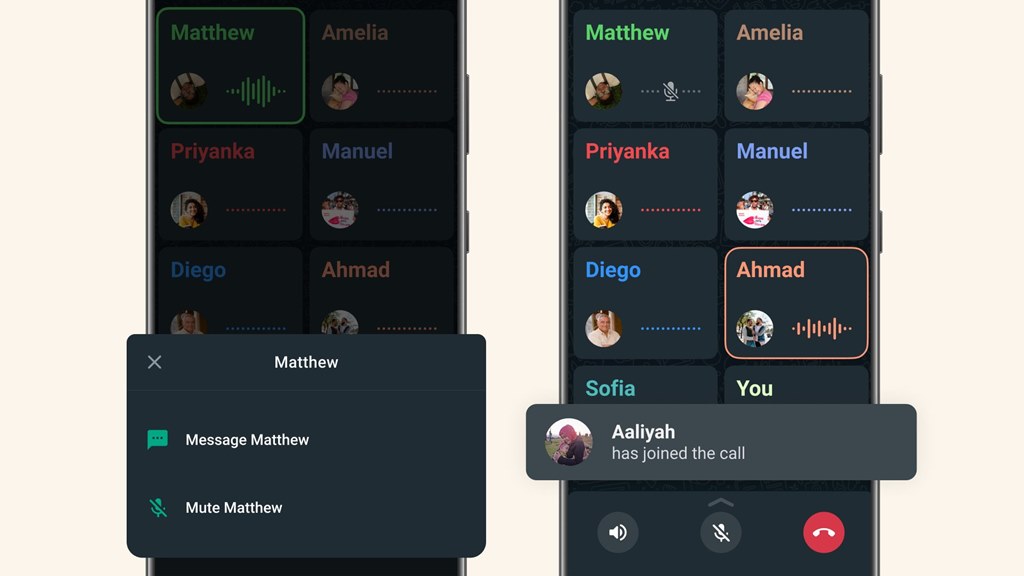 WhatsApp Mute Group Call