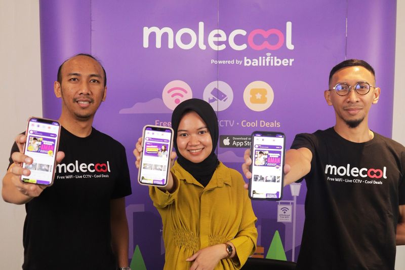 Akses Live CCTV dan WiFI Gratis dari Molecool