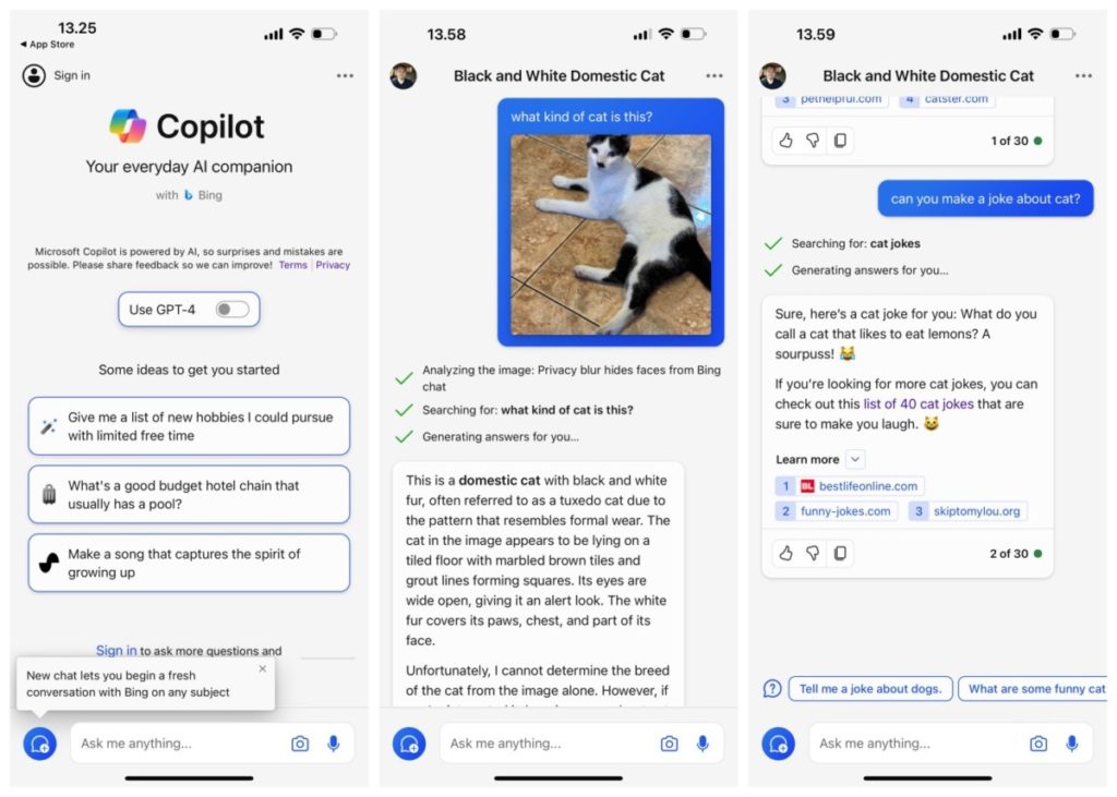 Microsoft Copilot AI Siap Hadir di WhatsApp 54 Microsoft Copilot iOS